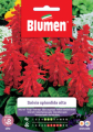 SALVIA SPLENDIDA ALTA     -