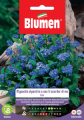 MYOSOTIS ALPESTRIS BLU