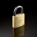 LUCCHETTO ISEO RETTANGOLARE OTTONE  MM 60