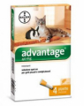 ADVANTAGE GATTO S.O. 40