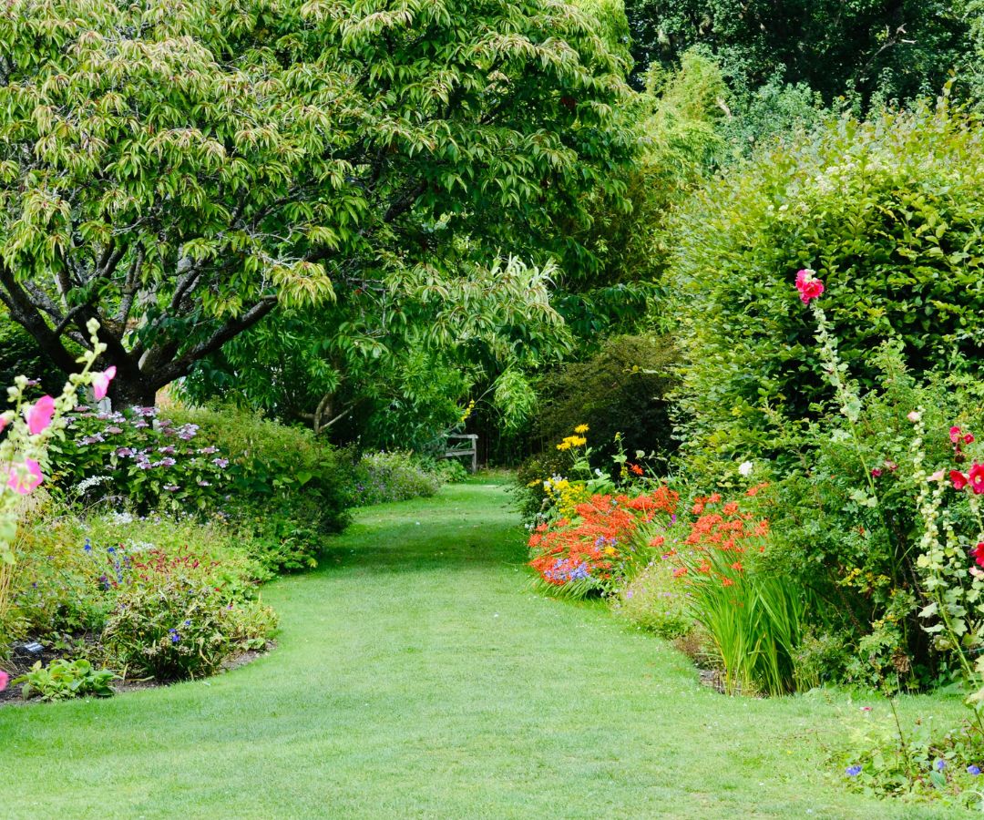 Giardino