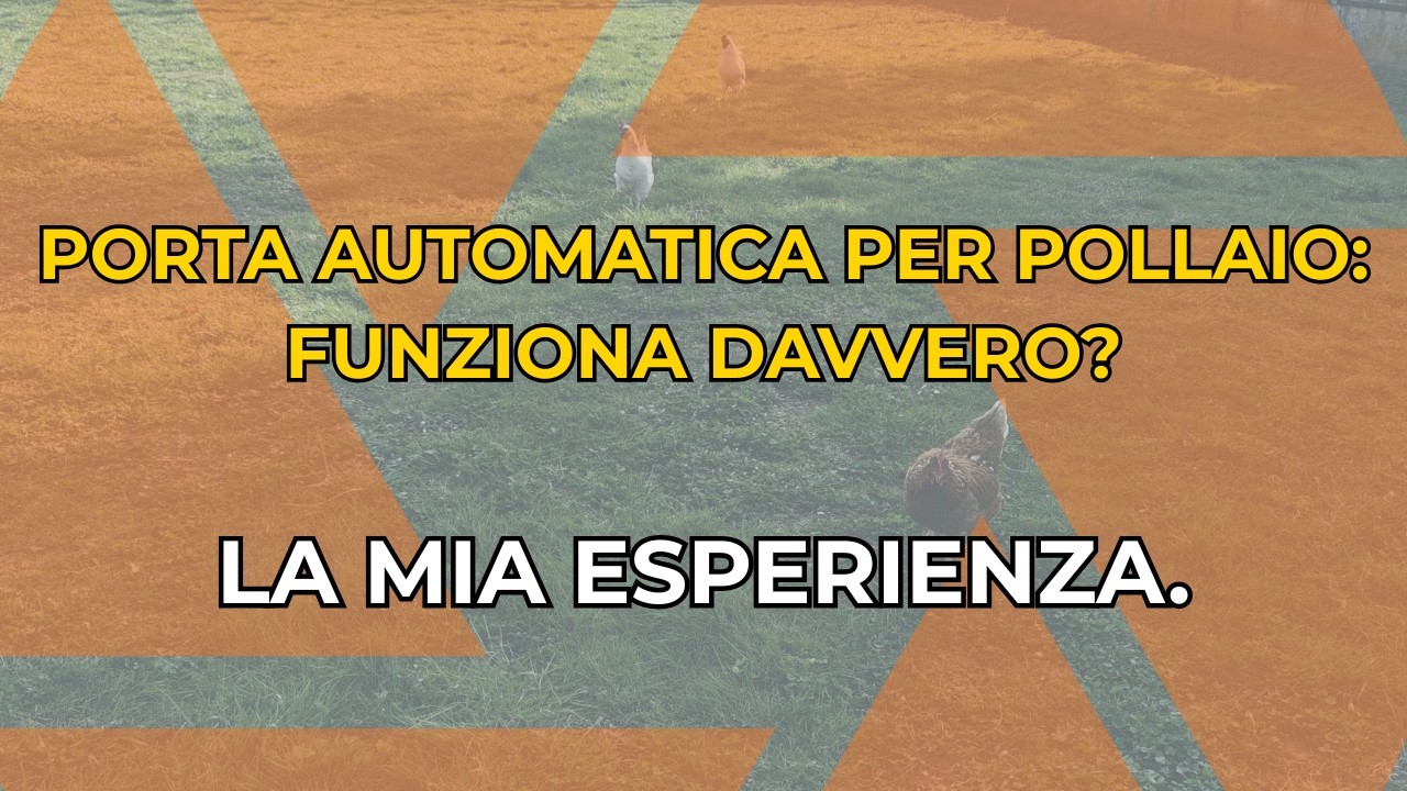 Porta automatica del pollaio