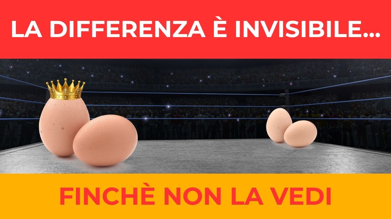 La differenza è invisibile finché non la vedi